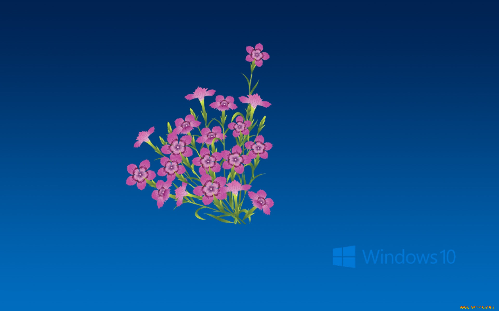 , windows  10, , 